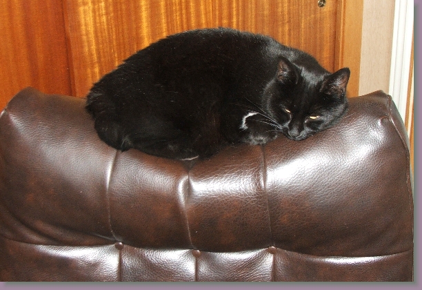 Click for the original image